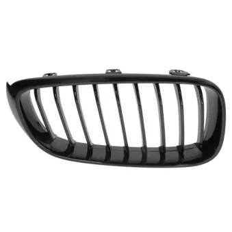 Grille de radiateur avant droit BLIC 6502-07-0081996P
