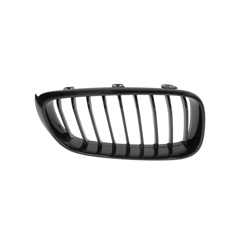 Grille de radiateur avant droit BLIC 6502-07-0081996P