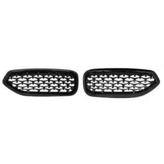 Grille de radiateur BLIC 6502-07-0089999P