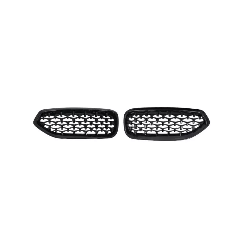 Grille de radiateur BLIC 6502-07-0089999P
