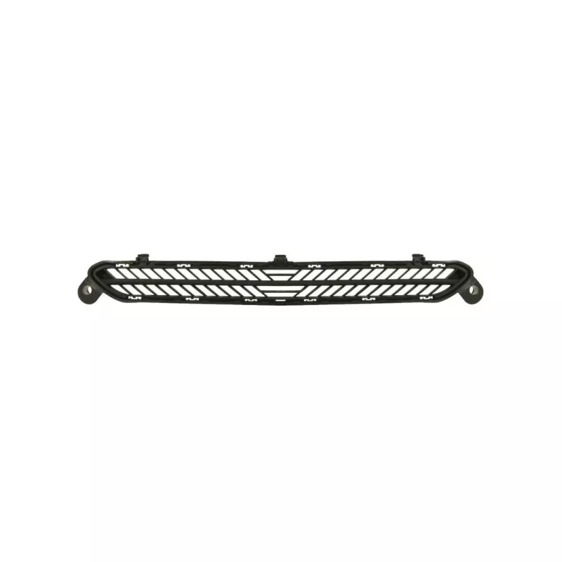Grille de radiateur BLIC 6502-07-0542990P