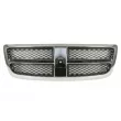 Grille de radiateur BLIC 6502-07-0935990P - Visuel 1