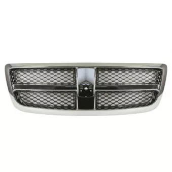 Grille de radiateur BLIC 6502-07-0935990P