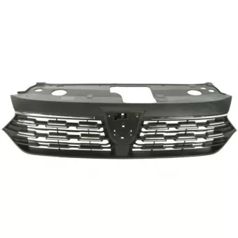 Grille de radiateur BLIC 6502-07-1307990P