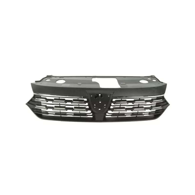 Grille de radiateur BLIC 6502-07-1307990P