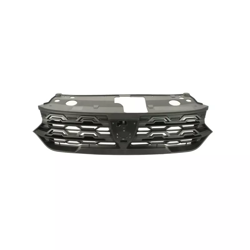 Grille de radiateur BLIC 6502-07-1307992P