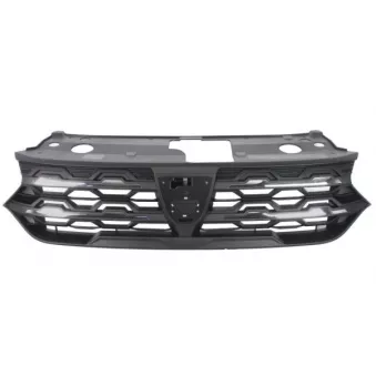 Grille de radiateur BLIC