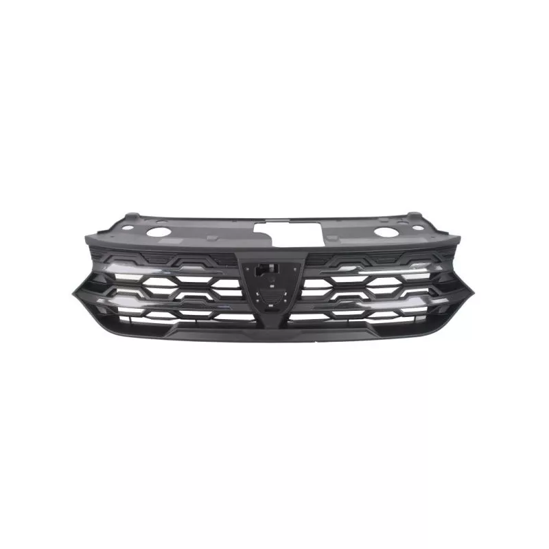 Grille de radiateur BLIC 6502-07-1308992P