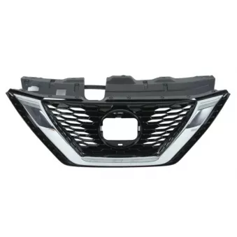 Grille de radiateur BLIC 6502-07-1617997P