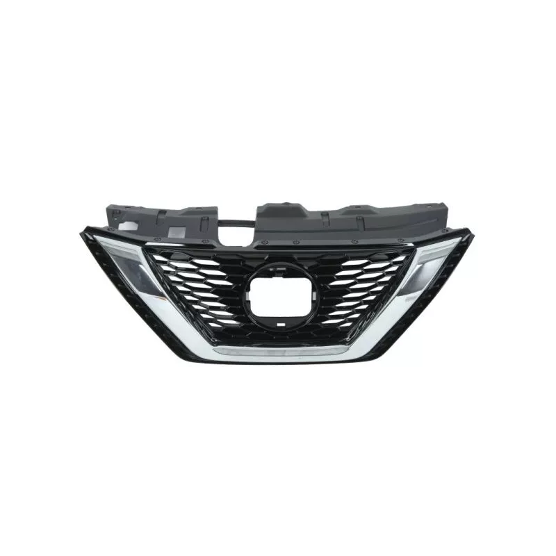 Grille de radiateur BLIC 6502-07-1617997P
