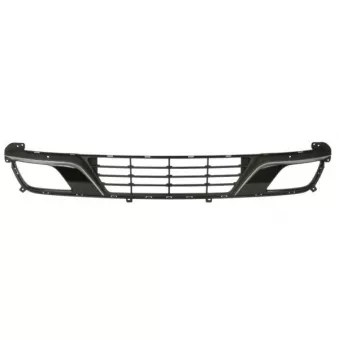 Grille de radiateur avant gauche BLIC 6502-07-1618910P