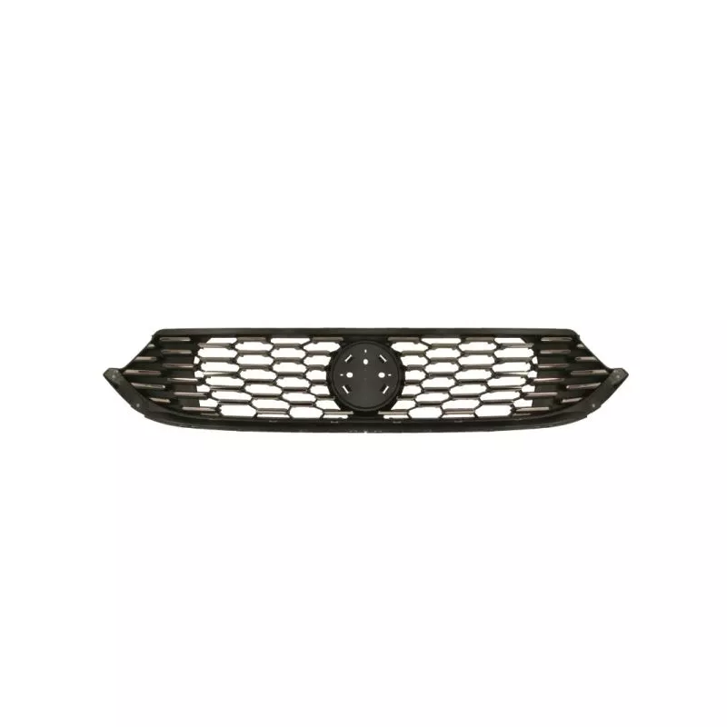 Grille de radiateur BLIC 6502-07-2030991P
