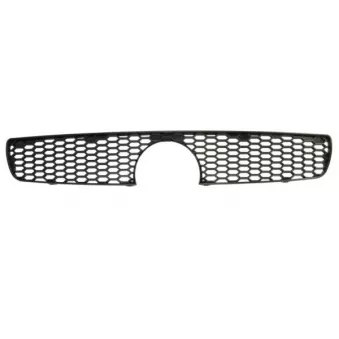 Grille de radiateur BLIC 6502-07-2043990P
