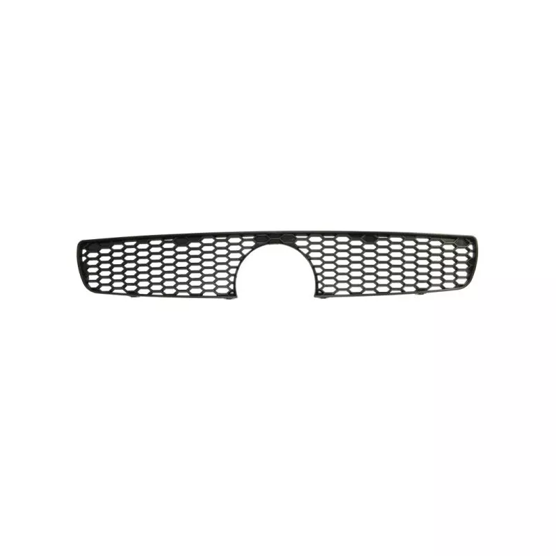 Grille de radiateur BLIC 6502-07-2043990P