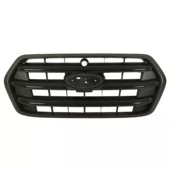 Grille de radiateur BLIC 6502-07-2517990PP
