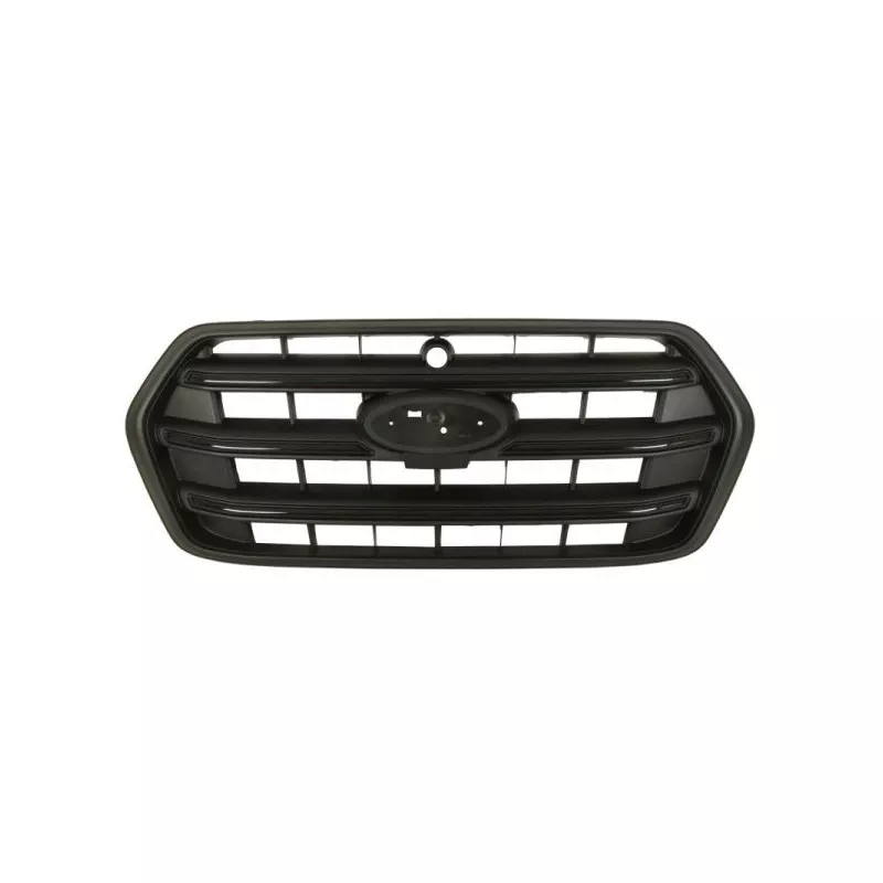 Grille de radiateur BLIC 6502-07-2517990PP