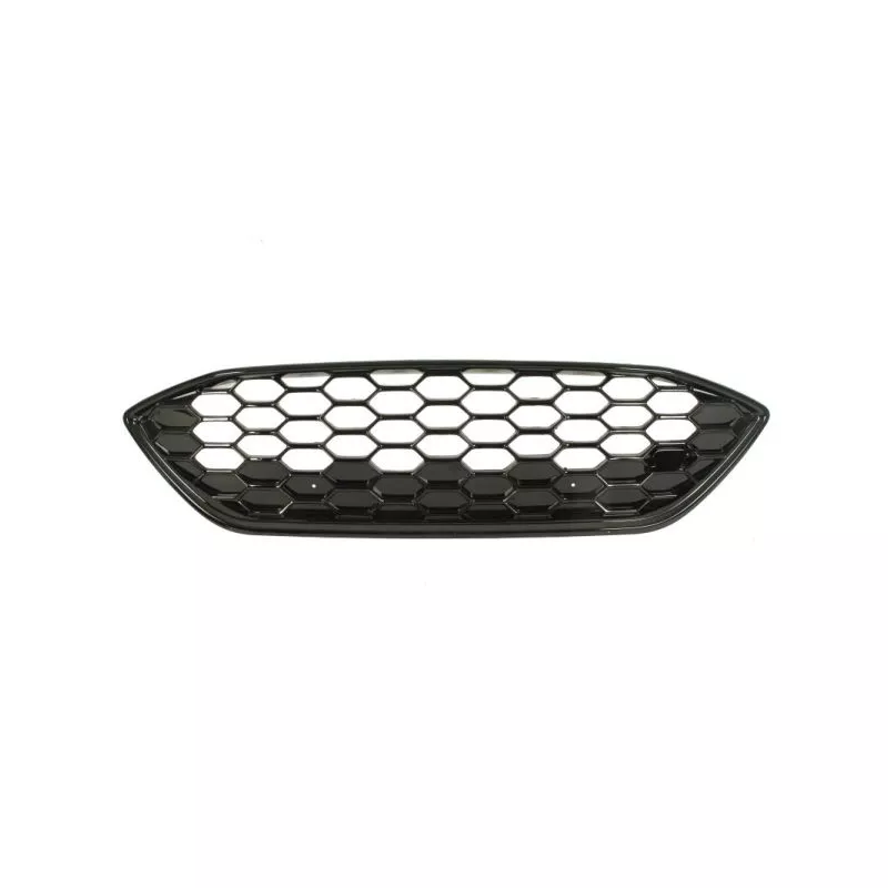 Grille de radiateur BLIC 6502-07-2537993P