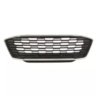Grille de radiateur BLIC 6502-07-2595990P