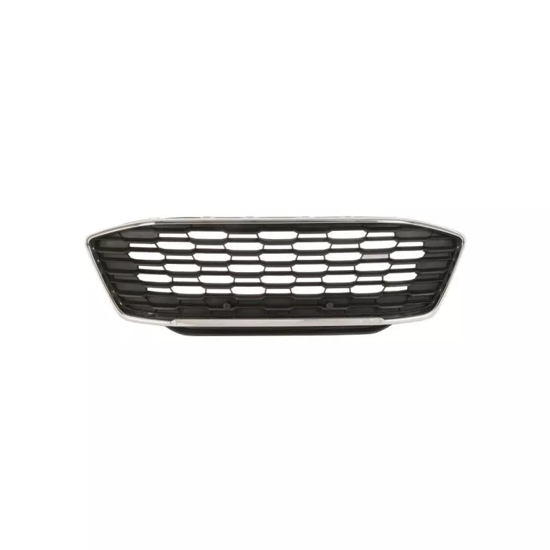 Grille de radiateur BLIC 6502-07-2595990P