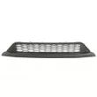 Grille de ventilation, pare-chocs BLIC 6502-07-2904911P - Visuel 1