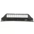 Grille de ventilation, pare-chocs BLIC 6502-07-2904911P - Visuel 2