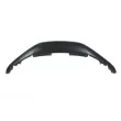 Grille de radiateur BLIC 6502-07-2914991P - Visuel 1