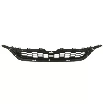 Grille de radiateur BLIC