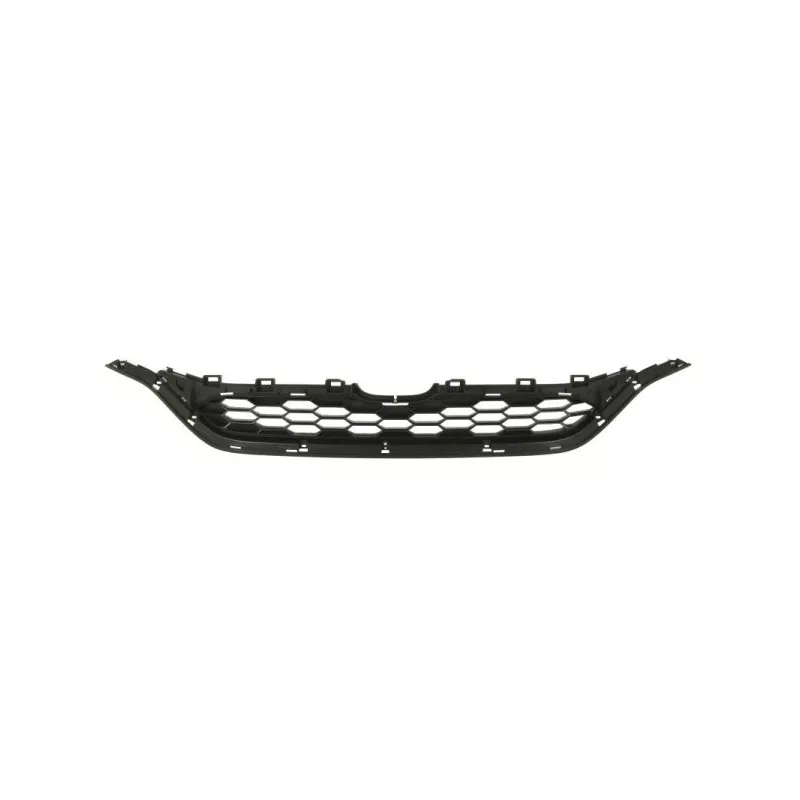 Grille de radiateur BLIC 6502-07-2958995P