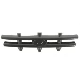 Grille de radiateur BLIC 6502-07-3155995P