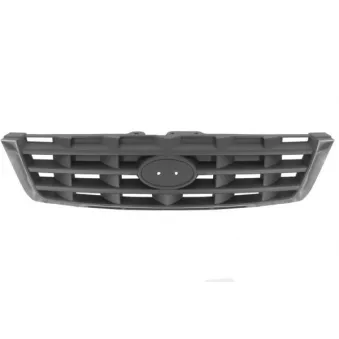 Grille de radiateur BLIC 6502-07-3155996P