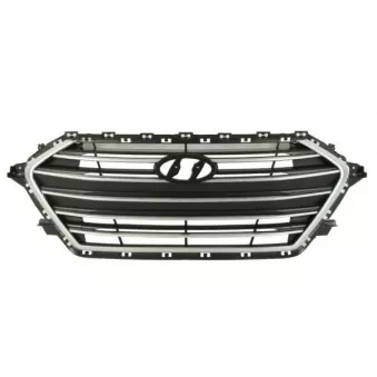 Grille de radiateur BLIC 6502-07-3172990P