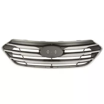 Grille de radiateur BLIC 6502-07-3182995P