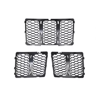 Grille de radiateur BLIC 6502-07-3206992CP