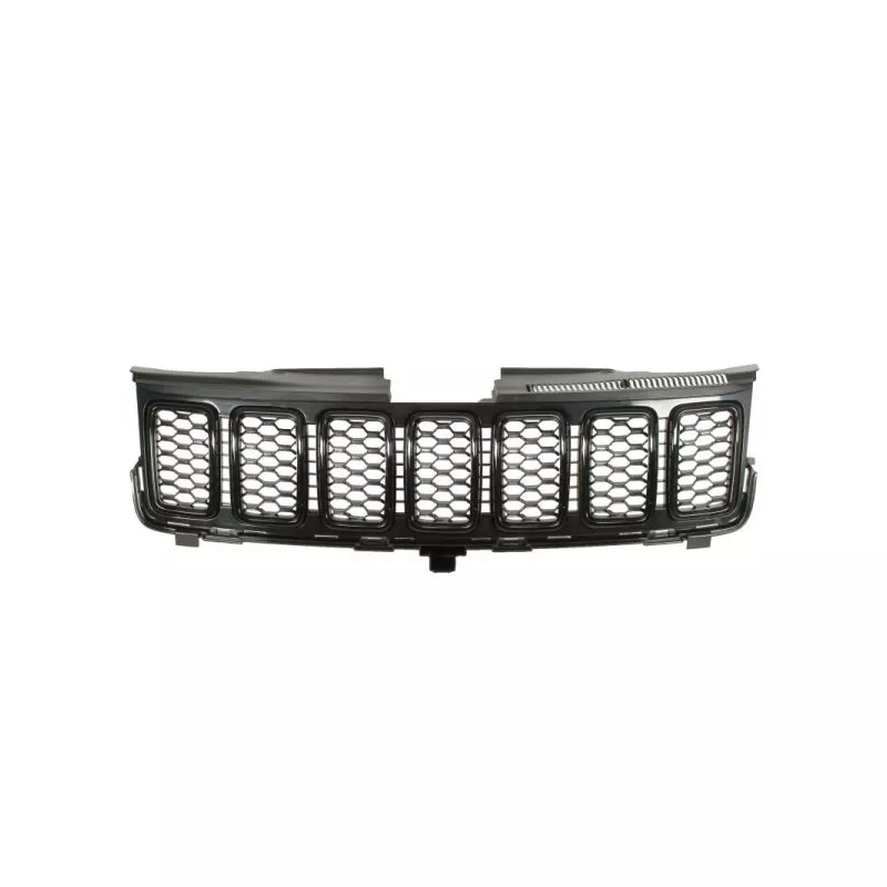 Grille de radiateur BLIC 6502-07-3207902BP