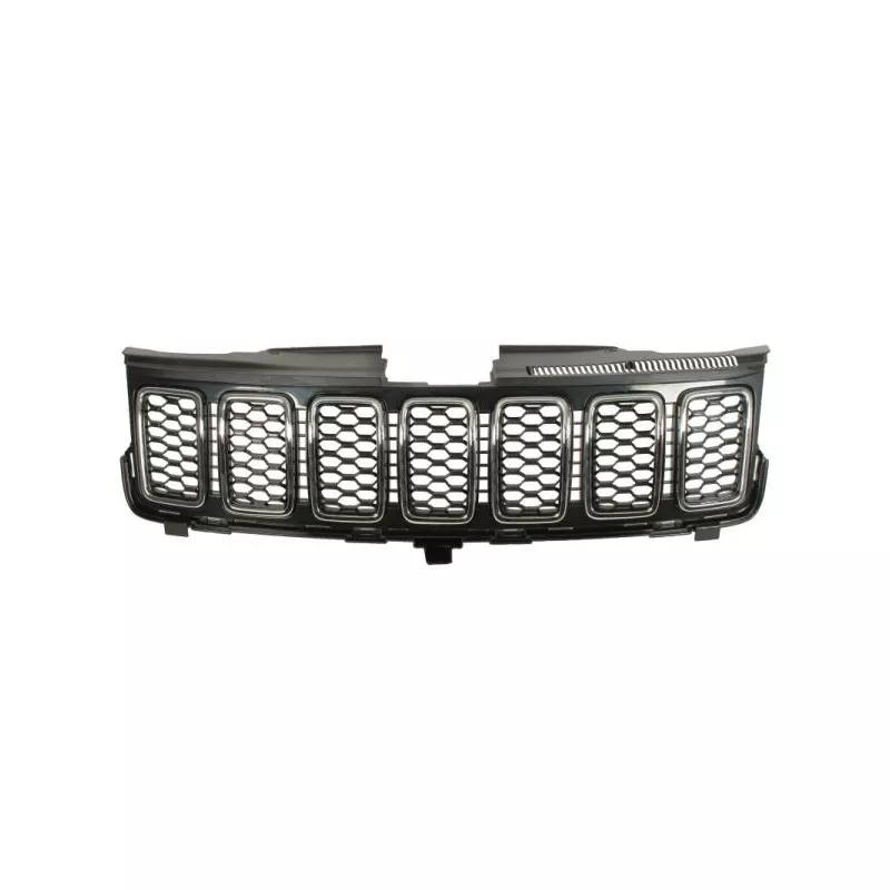 Grille de radiateur BLIC 6502-07-3207902P