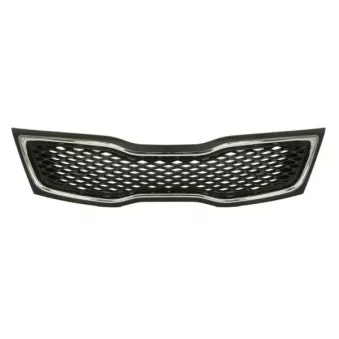 Grille de radiateur BLIC 6502-07-3222990P