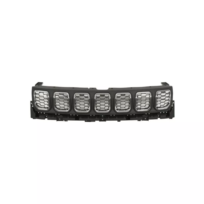 Grille de radiateur BLIC 6502-07-3235990P