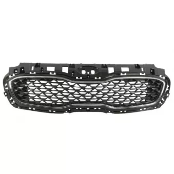 Grille de radiateur BLIC 6502-07-3296992P