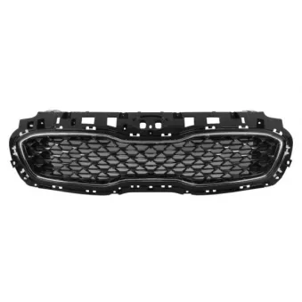 Grille de radiateur BLIC 6502-07-3296993P