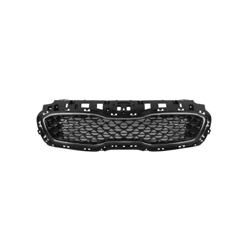 Grille de radiateur BLIC 6502-07-3296993P