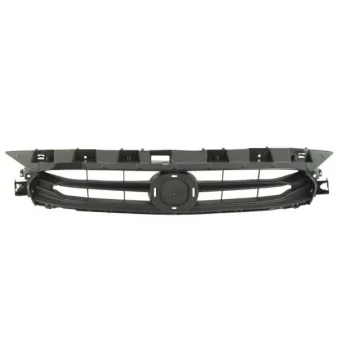 Grille de radiateur BLIC 6502-07-3422990P