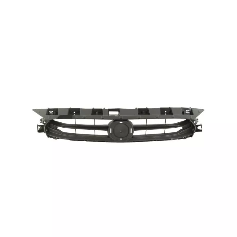Grille de radiateur BLIC 6502-07-3422990P