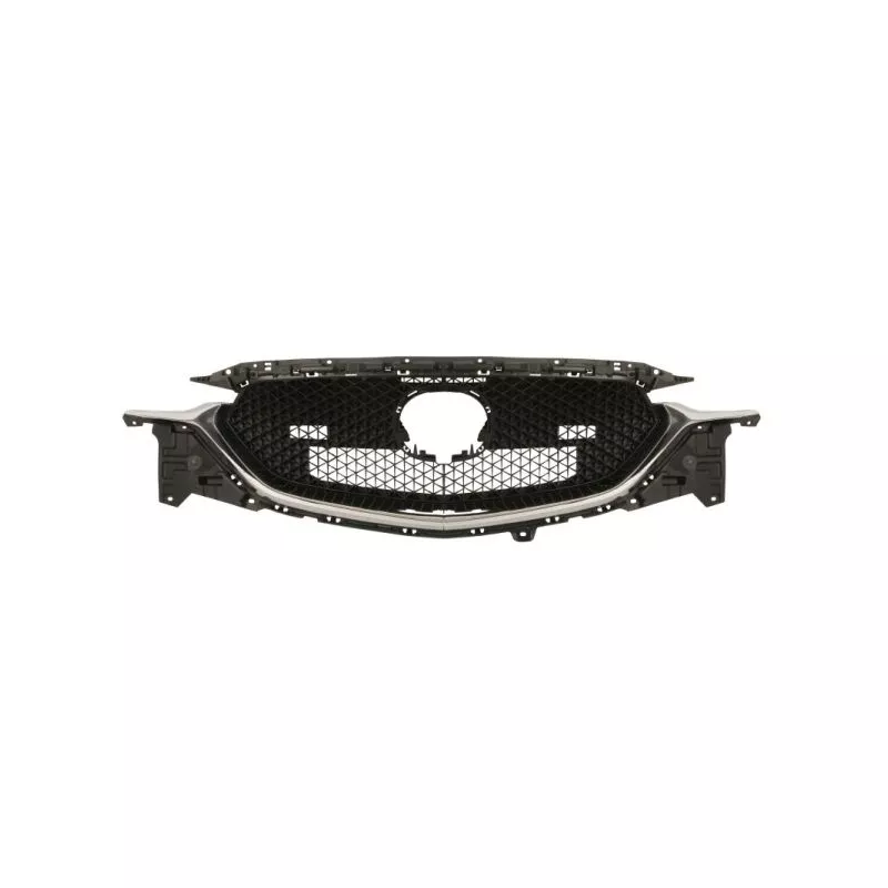 Grille de radiateur BLIC 6502-07-3496993P