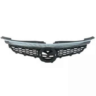 Grille de radiateur BLIC 6502-07-3499990P