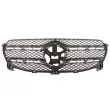 Grille de radiateur BLIC 6502-07-3501990P - Visuel 2