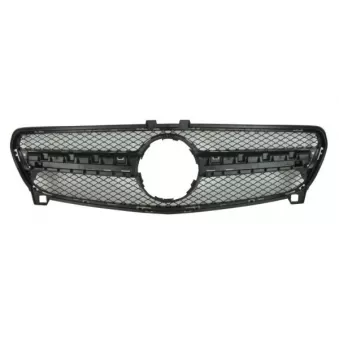 Grille de radiateur BLIC 6502-07-3507990P