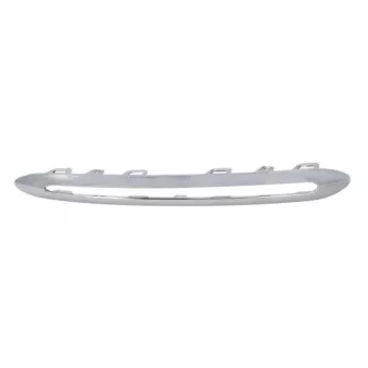 Baguette et bande protectrice, grille de radiateur BLIC 6502-07-3509924P