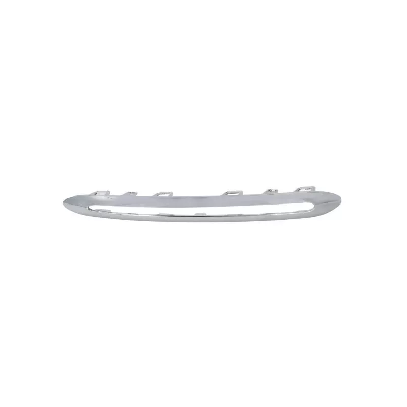 Baguette et bande protectrice, grille de radiateur BLIC 6502-07-3509924P