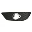 Grille de ventilation, pare-chocs BLIC 6502-07-3518930P - Visuel 1