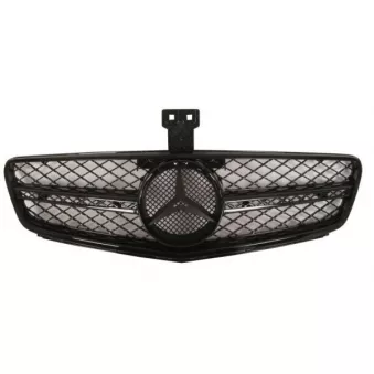 Grille de radiateur BLIC 6502-07-3518993KP
